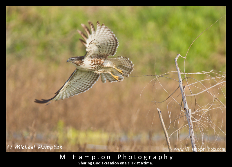In Flight