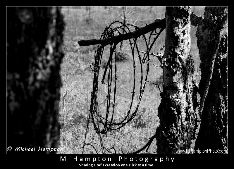Don't Fence Me In