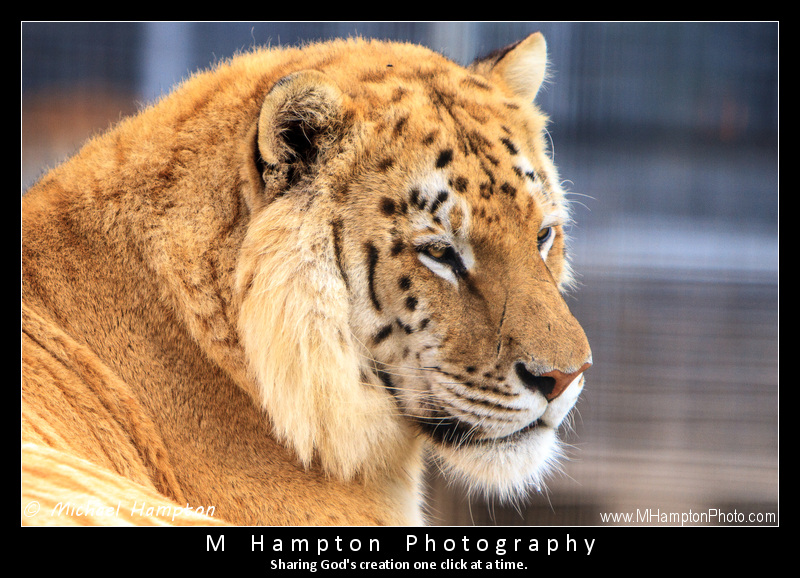 20120330091735