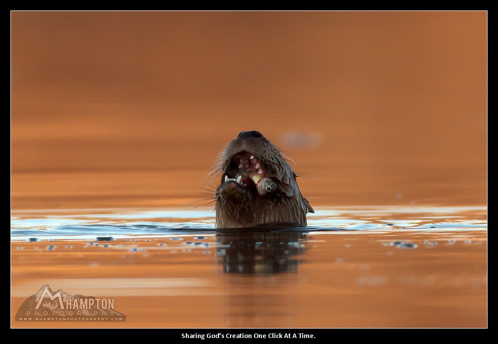 Wichita Mountains Wildlife Refuge